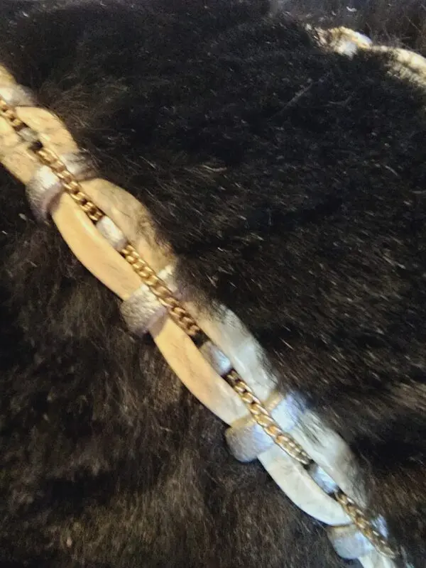 A close up of the chain on a fur coat